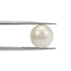White South Sea Pearl Undrilled 7.75 Carats (8.52 Ratti) 10-11mm LRCI40