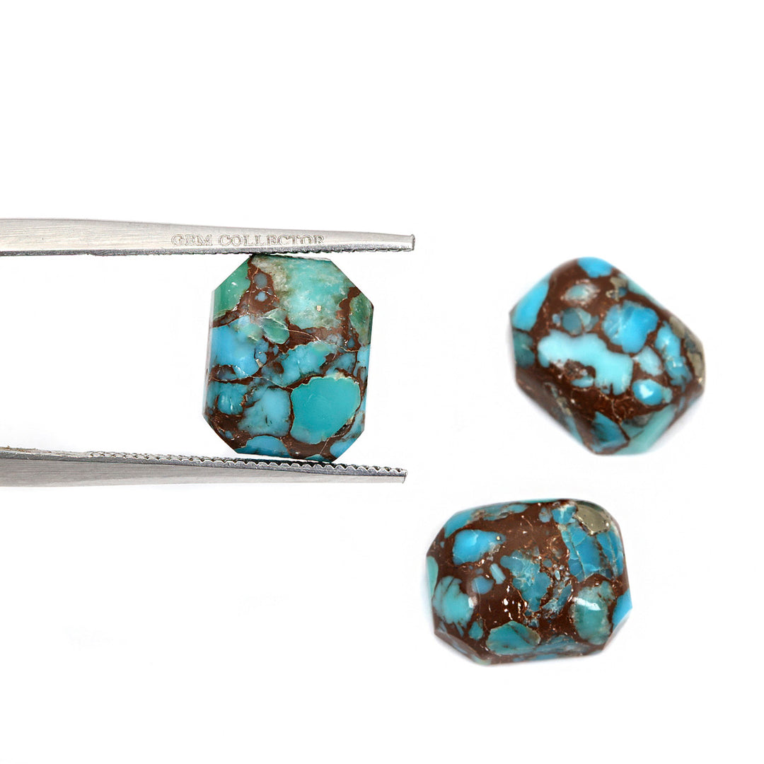 3Pc Lot Egyptian Turquoise 10x8mm 9.20 Carats