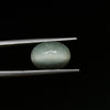 Certified Cat's Eye Quartz (Lahsunia) 8.65 Cts. (9.51 Ratti) LVVD25