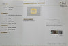 Certified Yellow Sapphire-13.39 Carats (14.72 Ratti) Sri Lanka (Ceylon), SKU: MIZI02