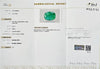 Certified Zambian Emerald (Panna)-8.97 Carats (9.86 Ratti) Zambia, SKU: MXZI93