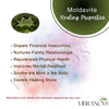 Moldavite 12x10mm 3.60 Carats