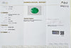 Certified Zambian Emerald (Panna)-5.87 Carats (6.46 Ratti) Zambia, SKU:NMZI53