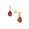 Classic Gold Earring with Ruby and Diamond(OTNK56)