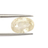 Certified Yellow Sapphire-5.85 Carats (6.43 Ratti) Sri Lanka (Ceylon), SKU: OXZI45