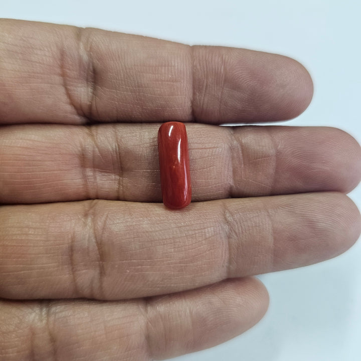 Natural Red Coral (Moonga) 5.16 Cts. (5.68 Ratti) Italy