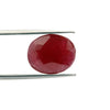 Certified Ruby (Manik) 7.24 Cartas (7.96 Ratti) SKU-PVZA48