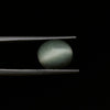 Certified Cat's Eye Quartz (Lahsunia) 7.28 Cts. (8.01 Ratti) QLVD37