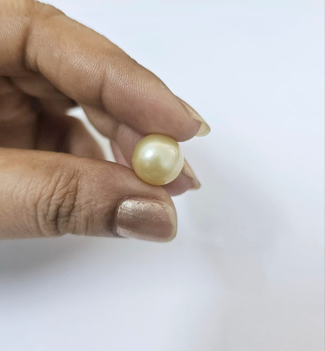 Golden South Sea Pearl 11mm Undrilled 8.85 Carats (9.73 Ratti) QVCI01