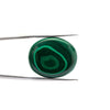 Natural Malachite Gemstone Oval Cabochon 19.65 Carats