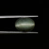 Certified Cat's Eye Quartz (Lahsunia) 8.48 Cts. (9.32 Ratti) RDVD24