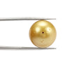 
Golden South Sea Pearl 12-13mm Drilled 13.85 Carats (15.23 Ratti) RKCI08
