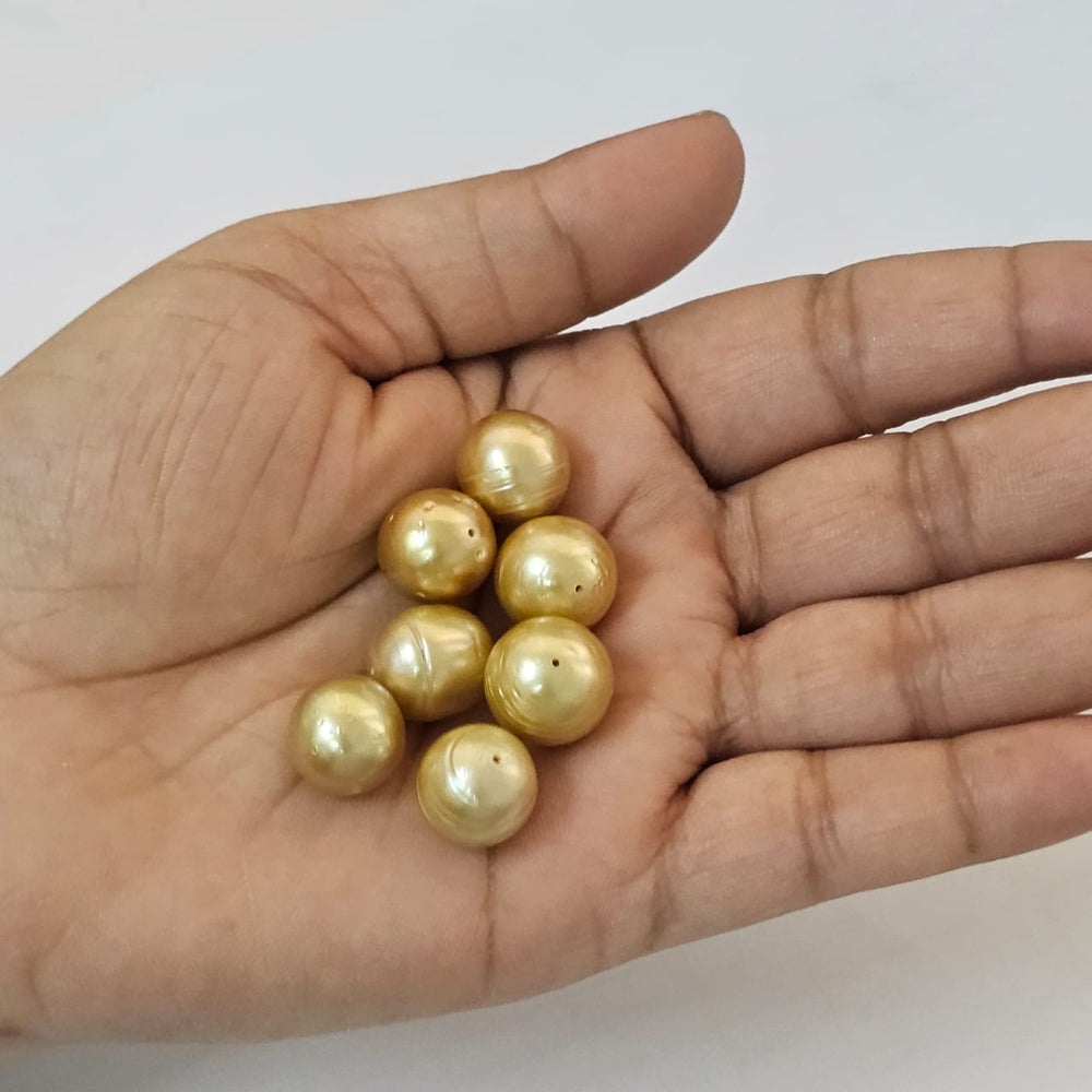 
Golden South Sea Pearl 12-13mm Drilled 13.85 Carats (15.23 Ratti) RKCI08
