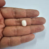 Certified Coral (Safed Moonga) 6.35 Cts. (6.99 Ratti) Japan RNZI43