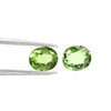 Paraiba Tourmaline Oval 0.85 Carats RSCI78