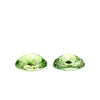 Paraiba Tourmaline Oval 0.85 Carats RSCI78