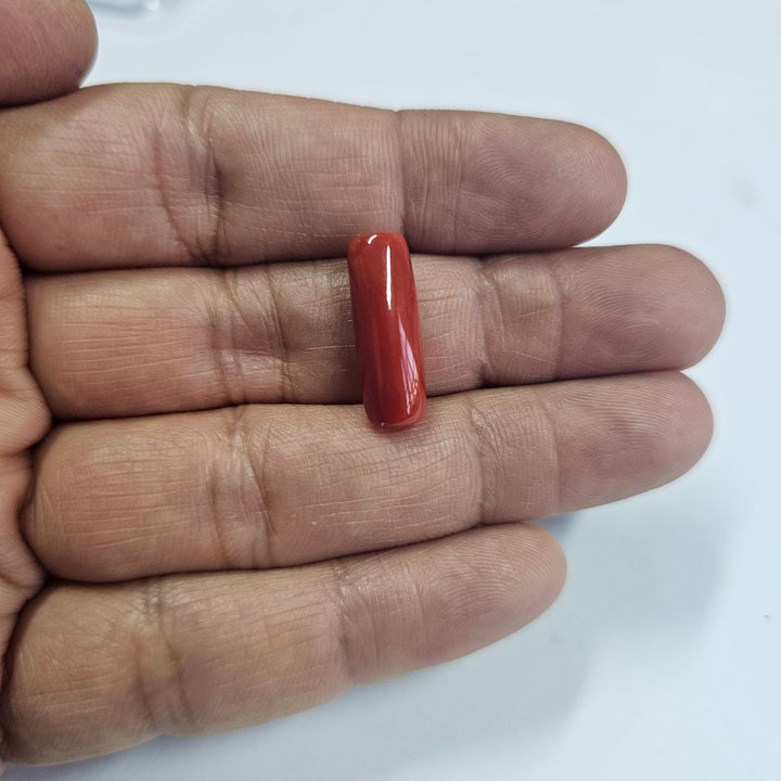 Natural Red Coral (Moonga) 9.29 Cts. (10.22 Ratti) Italy