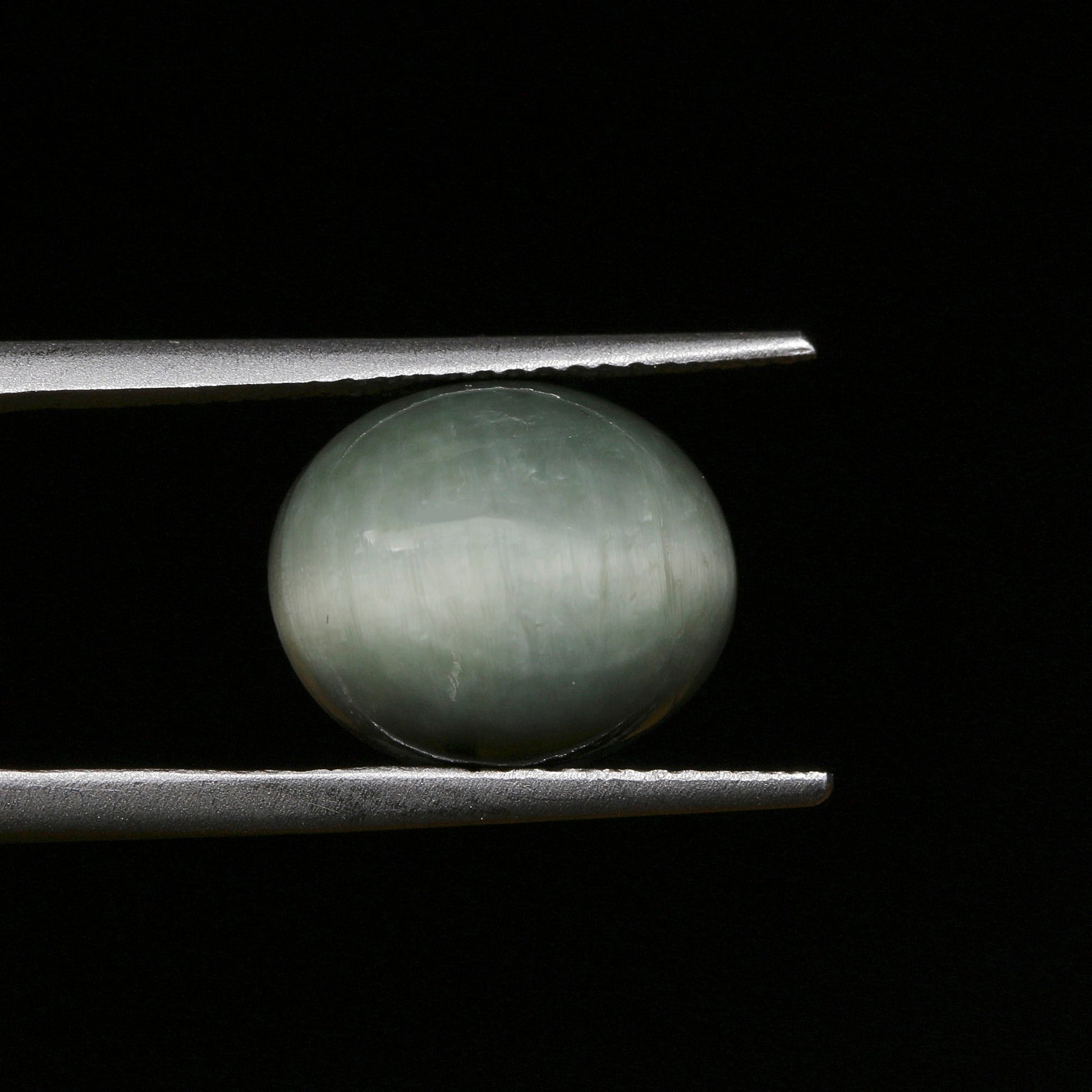 Certified Cat's Eye Quartz (Lahsunia) 6.70 Cts. (7.37 Ratti) SGVD54