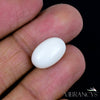 Natural Coral(White)