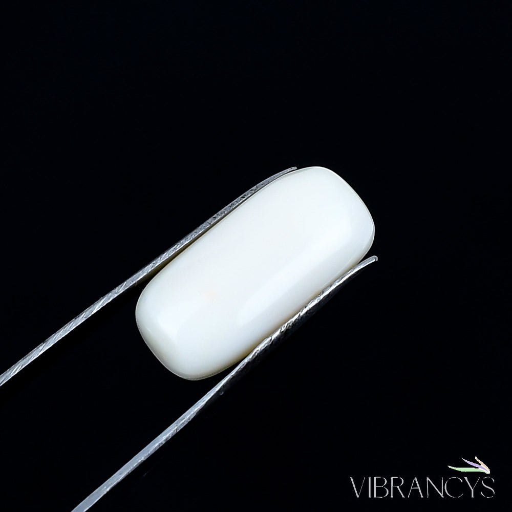 Natural Coral(White)