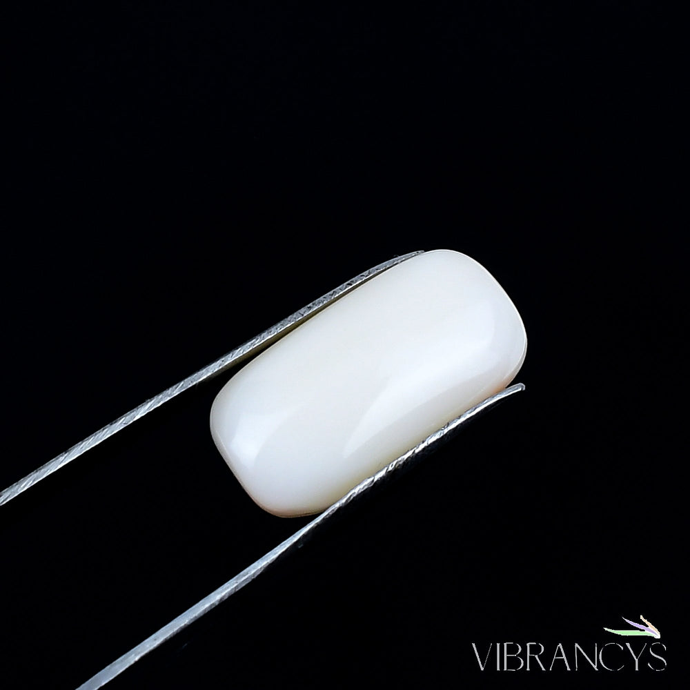 Natural Coral(White)
