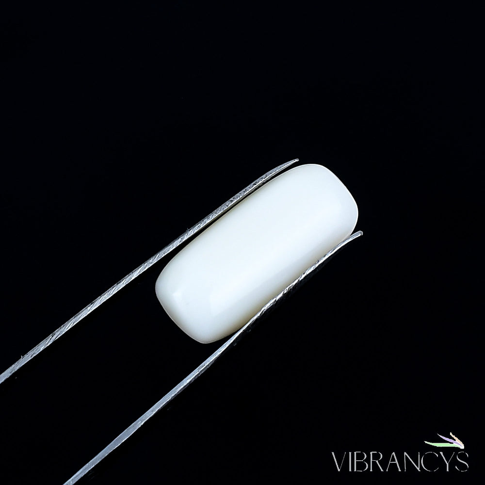 Natural Coral(White)