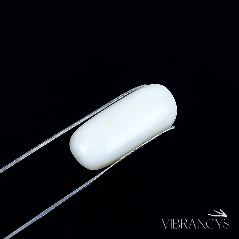 Natural Coral(White)