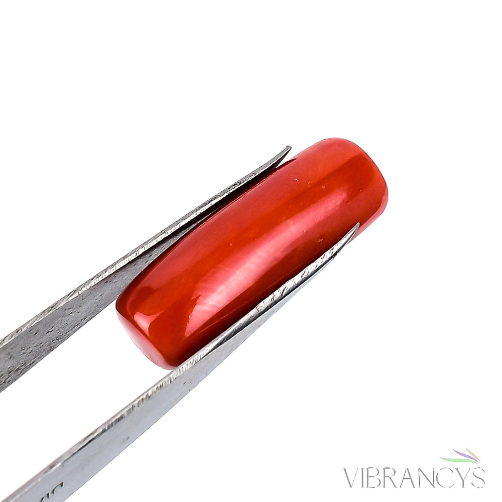 Natural Coral(Red)