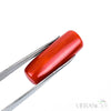 Natural Coral(Red)