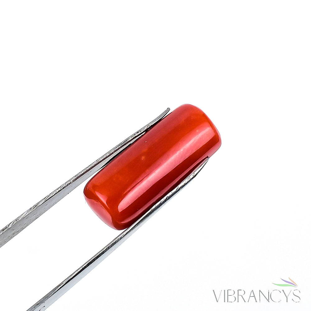 Natural Coral(Red)