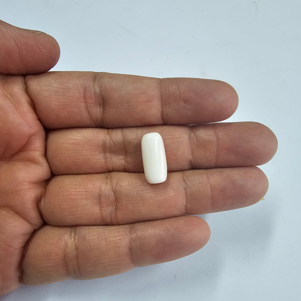 White Coral (Safed Moonga) 9.10 Cts. (10.01 Ratti) Japan