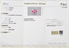 Tajakistan Pink Spinel Oval 1.25 Carats TASM97