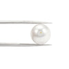 White South Sea Pearl Drilled 7.75 Carats (8.52 Ratti) 10-11mm Australia TNCI73