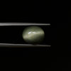 Certified Cat's Eye Quartz (Lahsunia) 6.55 Cts. (7.21 Ratti) TVVD51