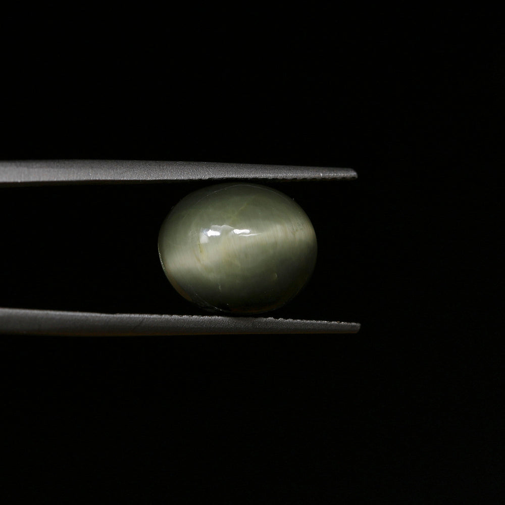 Certified Cat's Eye Quartz (Lahsunia) 6.55 Cts. (7.21 Ratti) TVVD51