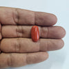 Certified Red Coral (Moonga) 8.50 Cts. (9.35 Ratti) Italy UNZI84