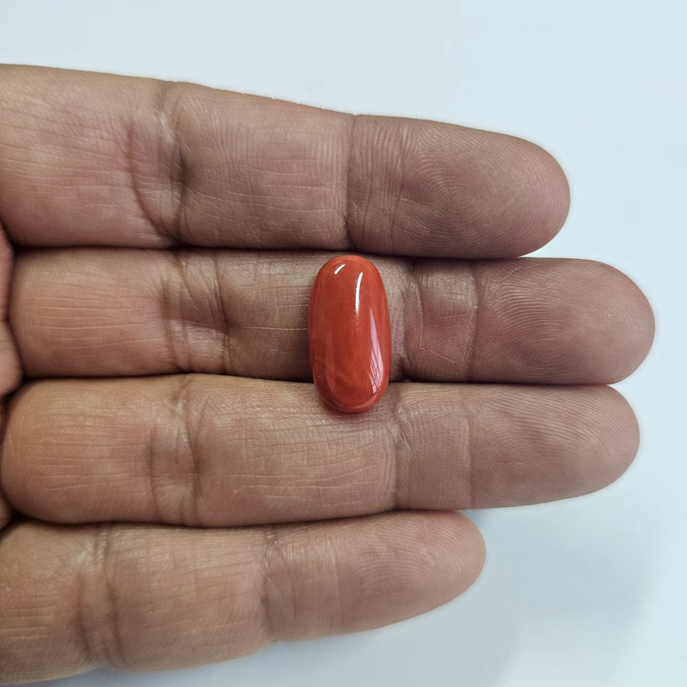 Certified Red Coral (Moonga) 8.50 Cts. (9.35 Ratti) Italy UNZI84