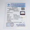 Certified Coral (Safed Moonga) 8.13 Cts. (8.94 Ratti) Japan UQZI38