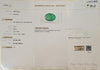 Certified Zambian Emerald (Panna)-7.60 Carats (8.36 Ratti) Zambia, SKU: WH0306