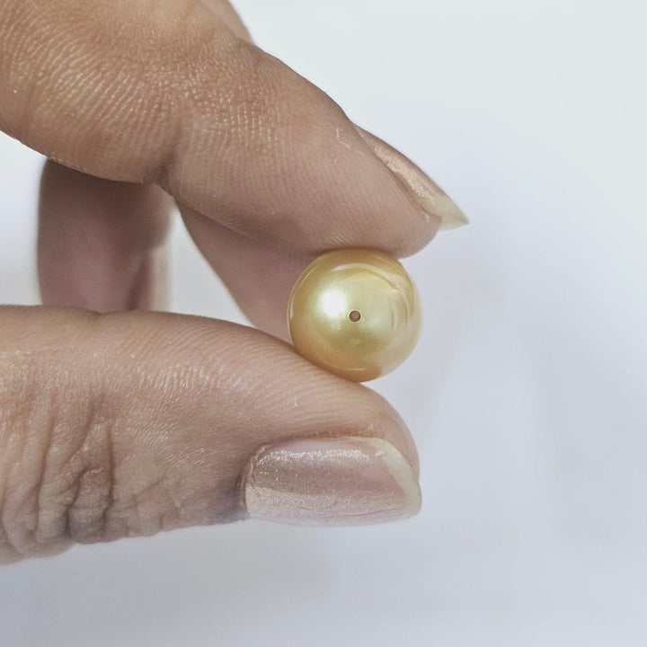 Golden South Sea Pearl 10mm Full Drilled 7.10 Carats WSCI14