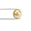 Golden South Sea Pearl 10mm Full Drilled 7.10 Carats WSCI14