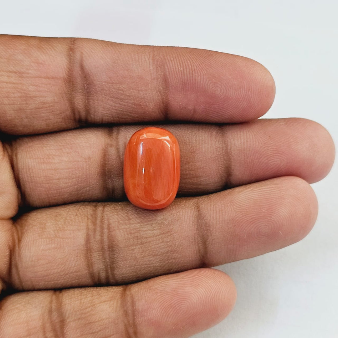 Red Coral (Moonga) 13.45 Cts. (14.79 Ratti) Italy