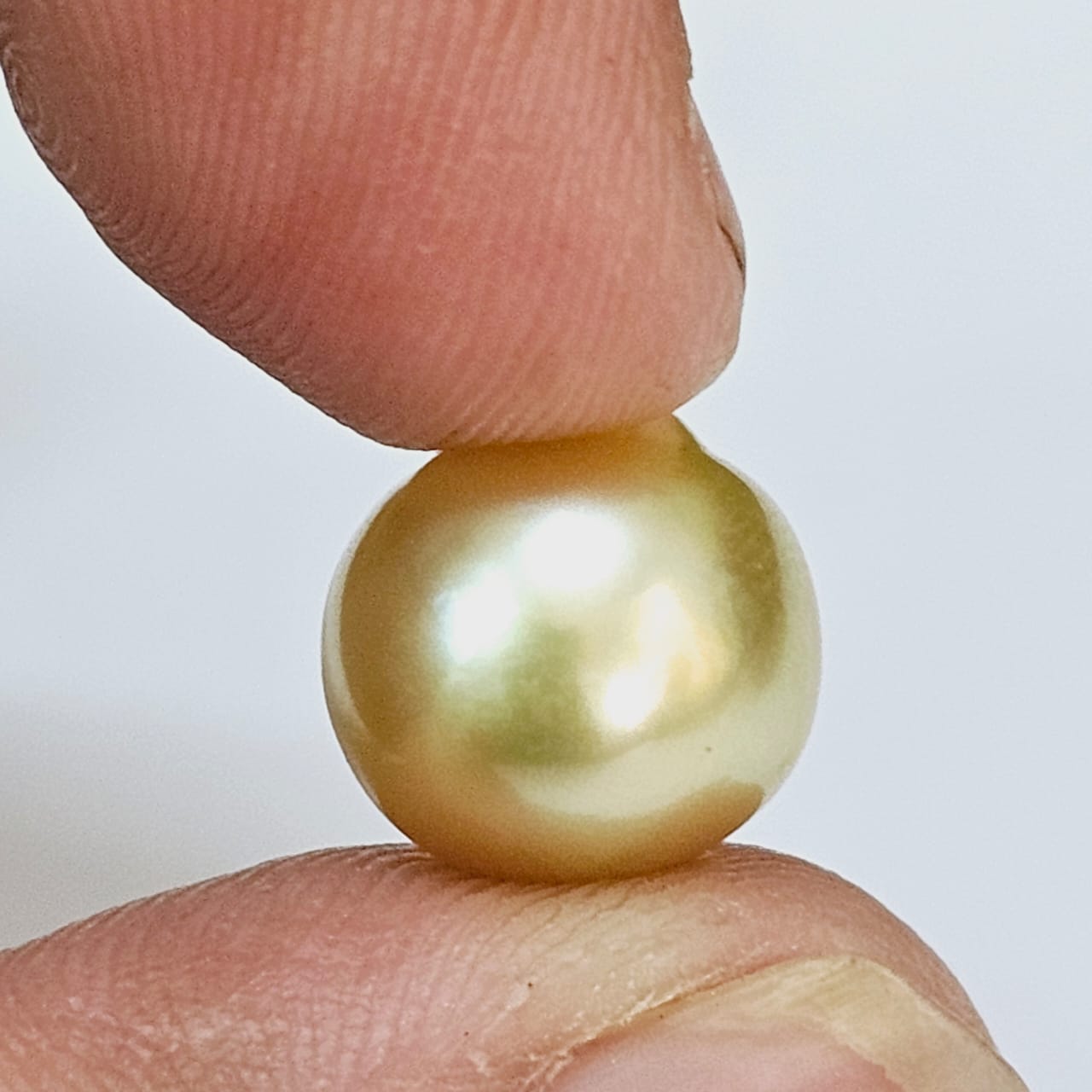 Golden South Sea Pearl Undrilled 6.90 Carats (7.59 Ratti) UTOZ80