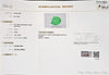 Certified Zambian Emerald (Panna)-2.62 Carats (2.88 Ratti) Zambia, SKU: DH0380