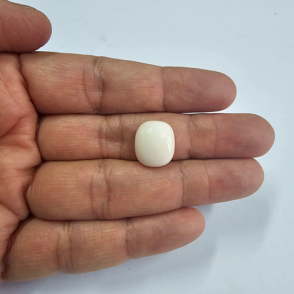 Certified Coral (Safed Moonga) 11.93 Cts. (13.12 Ratti) Japan XHZI14