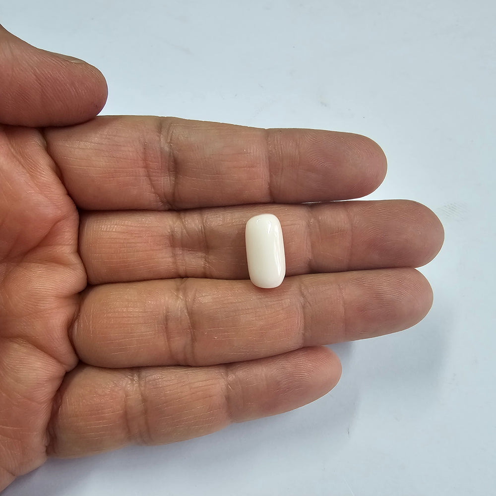 White Coral (Safed Moonga) 8.61 Cts. (9.47 Ratti) Japan