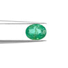 Certified Zambian Emerald (Panna)-1.69 Carats (1.85 Ratti) Zambia, XT0329