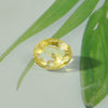 Certified Yellow Topaz 10.41 Cts (11.45 Ratti) YBZI69