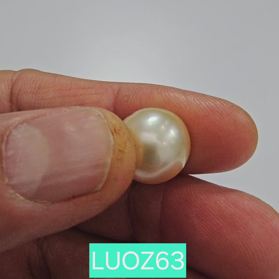 Golden South Sea Pearl Full Drilled 13mm-14mm 17.05 Carats LUOZ63