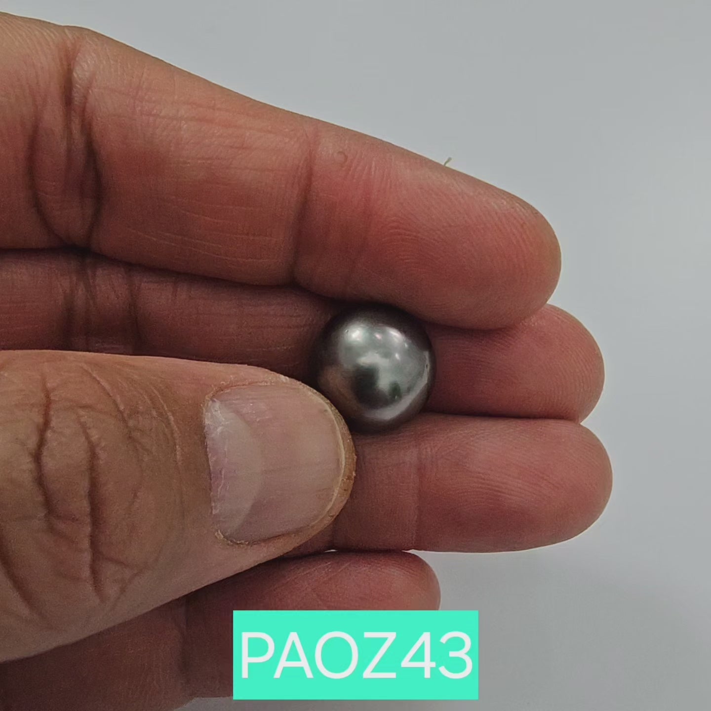 Certified Tahitian Grey Black Pearl Undrilled 16.32 Carats (17.95 Ratti) 12-13mm Tahiti PAOZ43